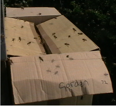 20120512_box.jpg