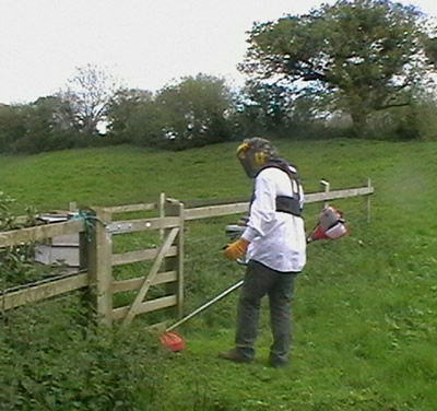 20120512_strimming.jpg