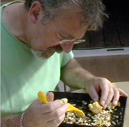 Counting varroa mites