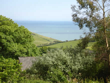 The view from our latest out apiary